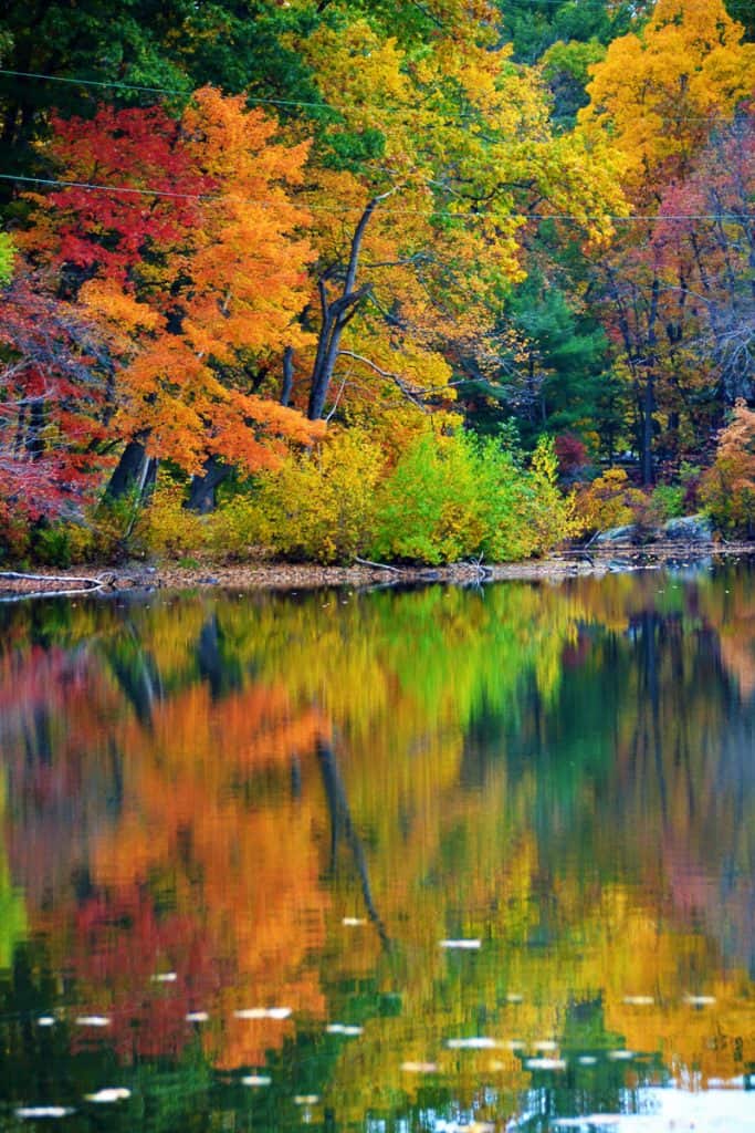 Reflections of colorful foliage (2)-2