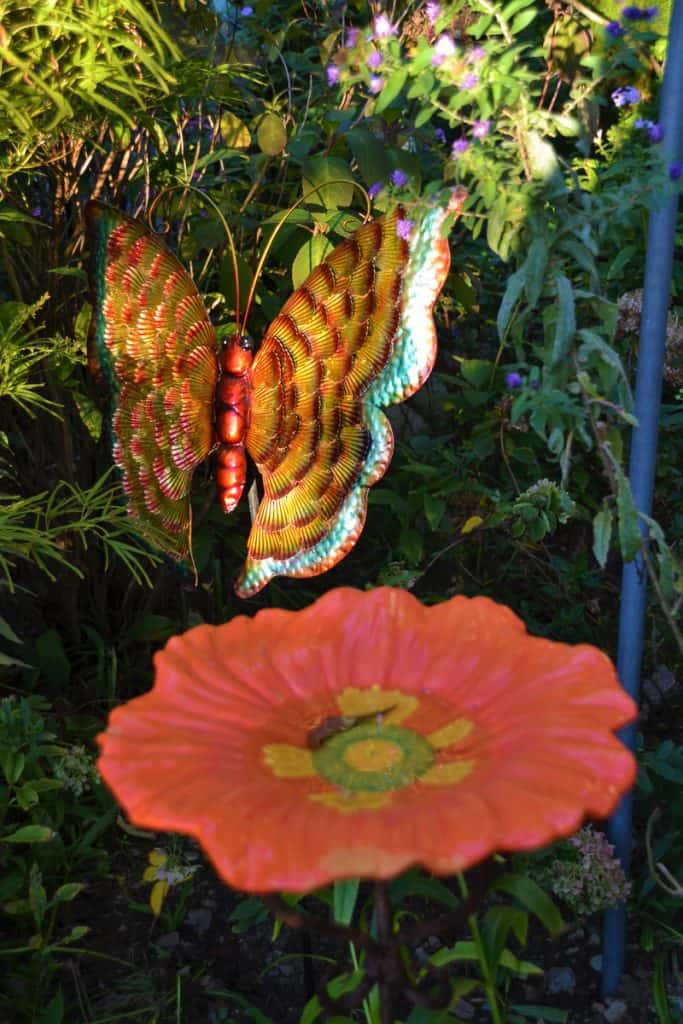 This orange flower birdbath-2