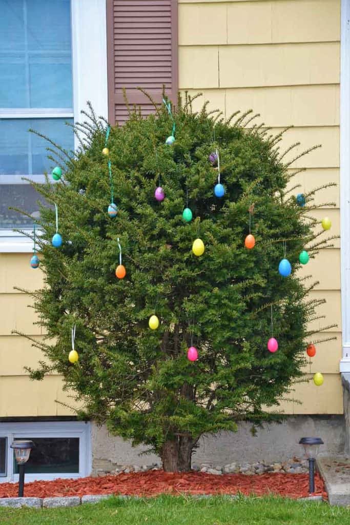 TRIMMED FOR THE HOLY SEASON A colorful Easter egg tree bears fruit in the Lynn Fells Parkway neighborhood-2