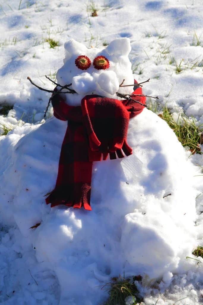 This snow cat in Lynnhurst-2
