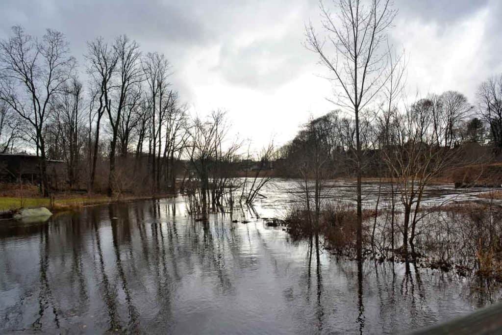 ICE AND REFLECTIONS on the Saugus River with the full moon_s high tides-2