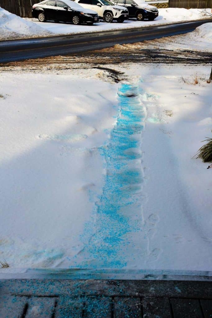 WELCOME VISITORS A blue walkway for the postman - Pet friendly ice melt and an effort to clear the paths have been much appreciated-2