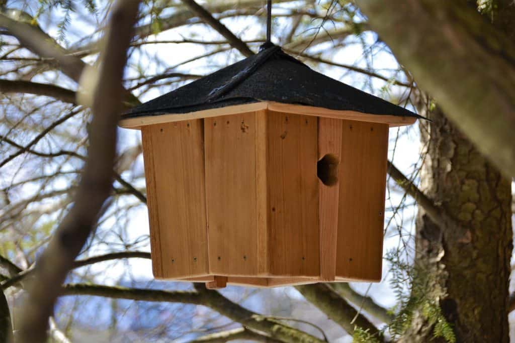 John Wilkinson made this birdhouse-2