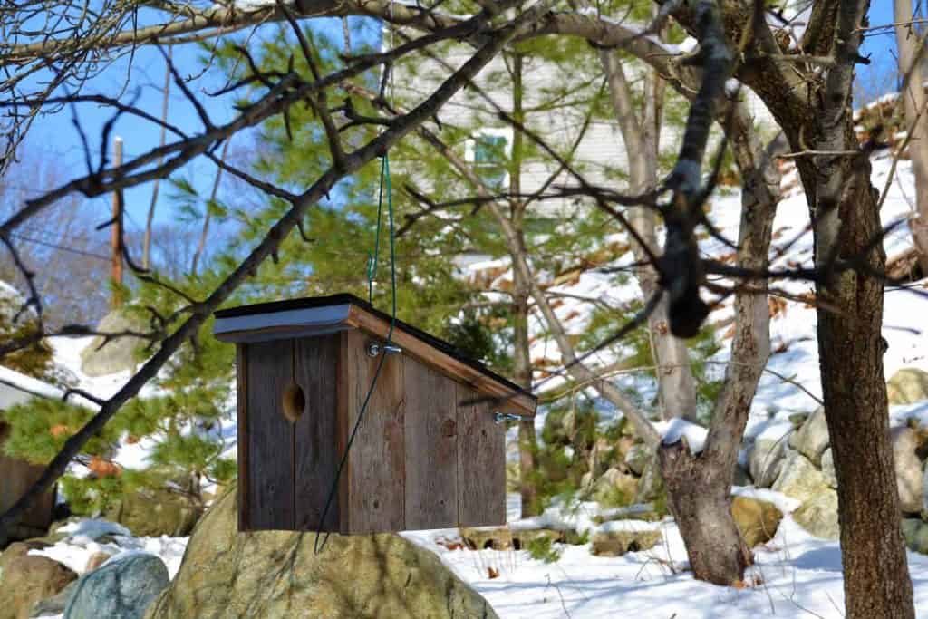 This birdhouse has an angled roof-2