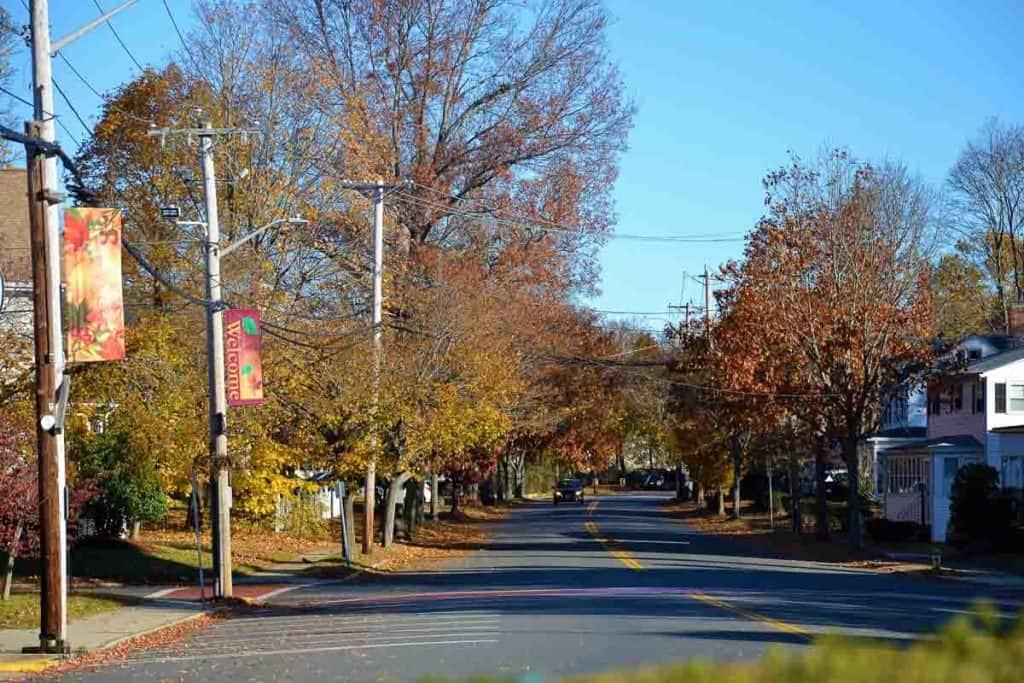 FALL THEMED BANNERS AND GOLDEN FOILAGE on Central Street near Saugus Center highlight the charms of late autumn-2