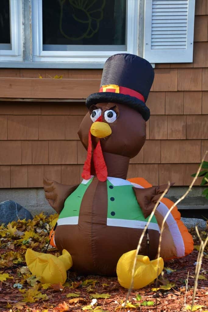HAPPY THANKSGIVING!-2