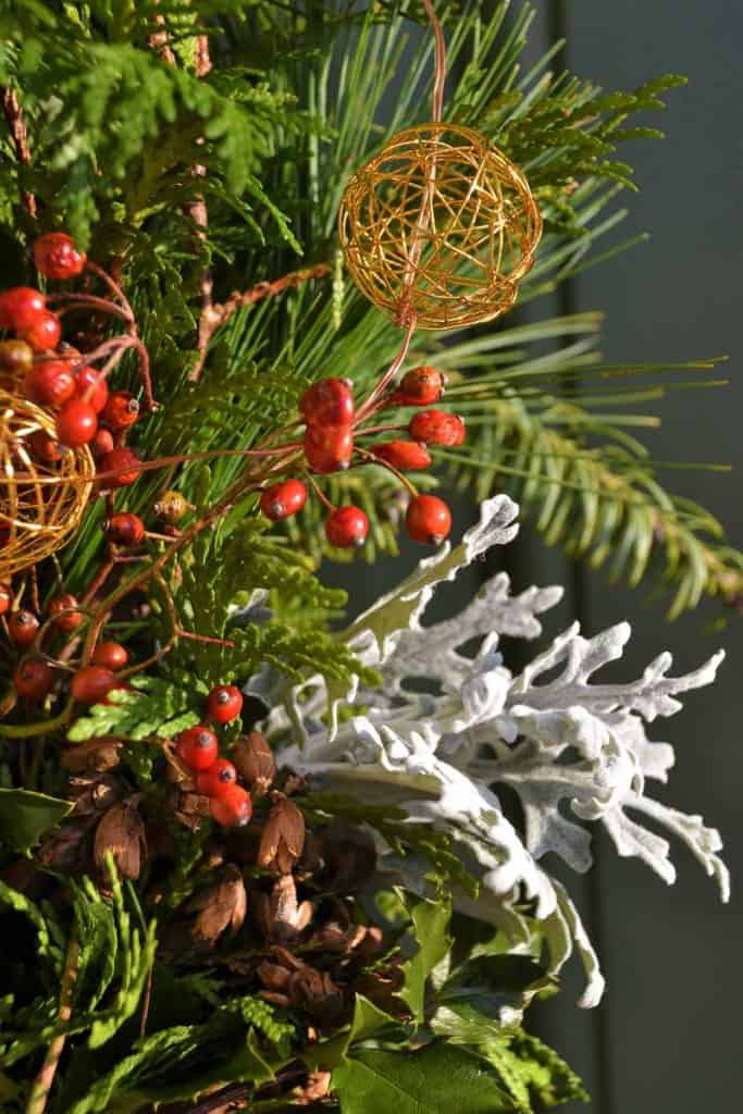 NATURAL EMBELLISHMENTS including pine cones, dusty miller_s grayishfuzzy leaves, holly branches with berries, and rose hips-2