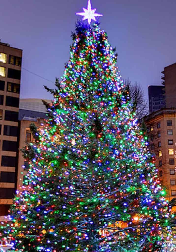 Christmas tree on Boston Common