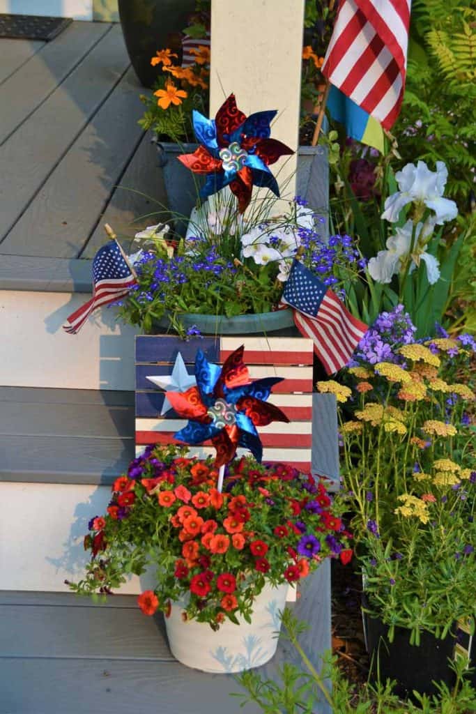 Patriotic annuals adorn these front steps (2)-2