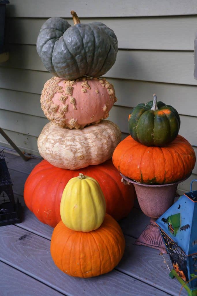 THE PUMPKIN STACKS ON THIS PORCH include unusual varieties-2