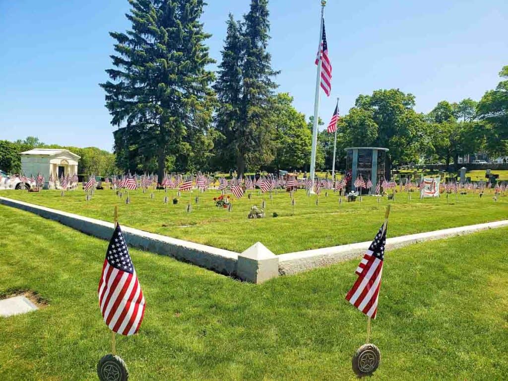 A FIELD OF FLAGS-2