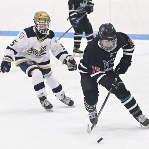 Brandon Berone moves the puck up the ice towards goal territory.