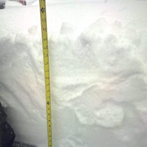 HOW MANY INCHES OF SNOW? The snowfall in the city of Malden was 20 inches, total, the most in the Greater Boston region and in all of Middlesex County! In case you were wondering, this is what 20 inches of snow looks like. (Courtesy Photo/Jaelyn Kateches)