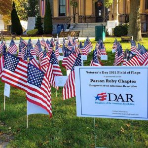 A Field of Flags (2)
