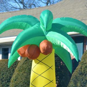 A SIGN OF GOOD WEATHER-2