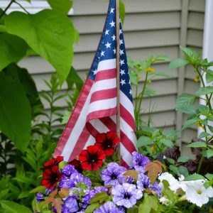 A flag in a pot of petunias leaves no doubt these flowers are a July 4 arrangement. (Photo courtesy of Laura Eisener)