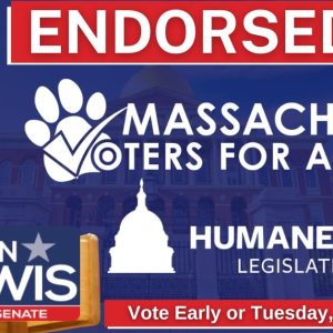Animal Welfare endorse Sen Lewis