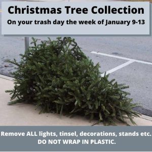 Christmas Tree Removal