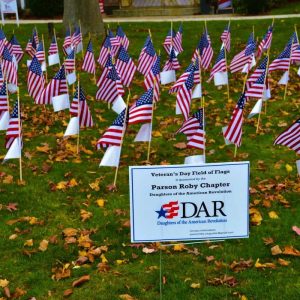 DAR’S FIELD OF FLAGS: Miniature American flags honored deceased and living veterans on the lawn of Town Hall during Veterans Day 2022. The Parson Roby Chapter of the DAR is sponsoring another “Field of Flags” event. (Saugus Advocate file photo)