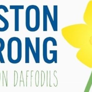Daffodil Dash art