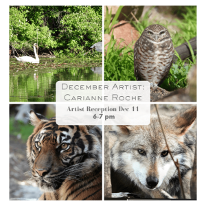 Carianne Roche, Featured Artist at the Malden Public Library