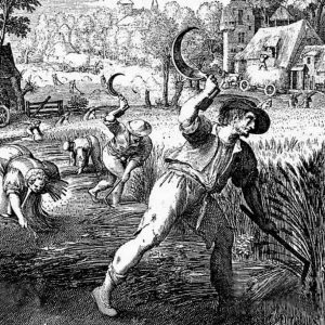 Farming in the 17th century