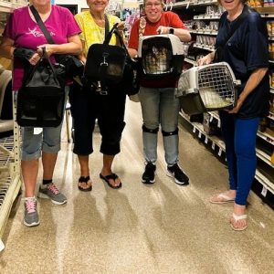 GETTING RABIES SHOTS FOR THEIR CATS: Left to right: Lori Aunian and Peanut, her male Turkish Angora; Debbie Elliott and Callie, a feisty calico; Janet Caron and Lucey, her three-year-old tabby tiger cat; and Marlene March and Boujee, her seven-year-old Himalayan. (Courtesy Photo of Joanie Allbee)