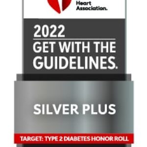 GWTG_STROKE-TT2D PLUS_2022_Silver_4C