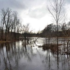 ICE AND REFLECTIONS on the Saugus River with the full moon_s high tides-2