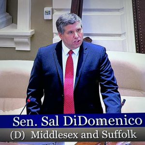 Senator Sal DiDomenico spoke in favor of his amendments in the Senate Chamber during budget debate.