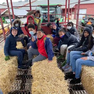 JCA farm field trip-2