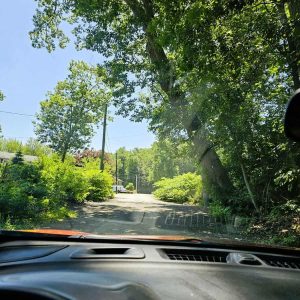 LEANING TOWARD TROUBLE? Melrose Attorney Philip Gindi has complained to town officials that this tree on 30 Cliff Rd. at the entrance of Prankers Pond is “a potential disaster.” This is a view of the tree from a car leaving Prankers Pond. (Saugus Advocate photo by Mark E. Vogler)