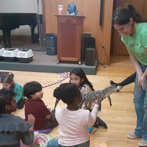 Meeting an alligator. at the MPL.