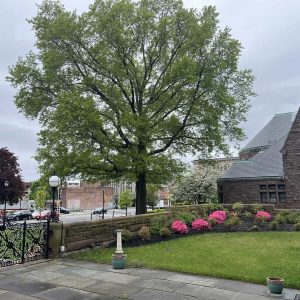 In 1884, Olmsted designed the beautiful, serene MPL garden to enhance the architectural beauty of Richardson’s Romanesque building.