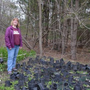 Nancy Prag, chairman of the Town of Saugus Tree Committee, stands among the newest saplings at the tree farm. (Photo by Laura Eisener)