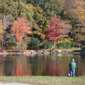 Patkin Pond draws people and wildlife for the fish and the scenery! (Photo courtesy of Laura Eisener)