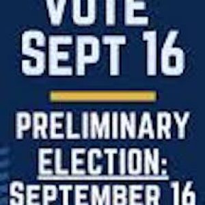 Preliminary election