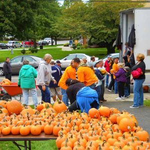 Pumpkin are coming-2