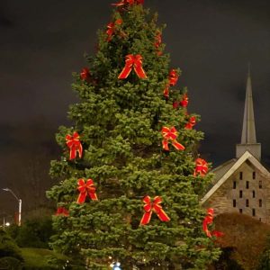 READY TO LIGHT UP: The Town of Saugus’ official holiday tree awaits the town’s Tree Lighting Ceremony and Festivities tonight. (Saugus Advocate file photo by Mark E. Vogler)
