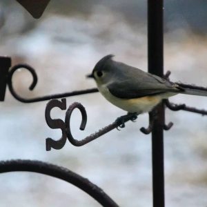 Second page one photo-2