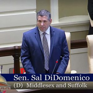 senator didomenico