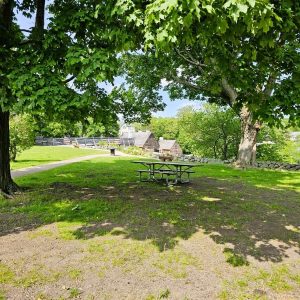 THE BEST PICNIC SPOT THIS SUMMER: On a hot, lazy day, when a Saugonian of any age wants to get relief in the shade without having to worry about getting bitten by mosquitos, there’s usually an open table at the Saugus Iron Works National Historic Site where family or friends can gather – or a place for a lawn blanket – to enjoy a bagged lunch and a cold drink. (Saugus Advocate photo by Mark E. Vogler)