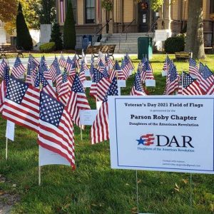 THE FIRST YEAR: Miniature American flags decorated the front lawn of Saugus Town Hall during the First Annual Veteran’s Day Field of Flags observed during 2021. (Courtesy photo to The Saugus Advocate)
