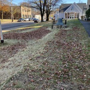 THE “ORANGE GLOW” DISAPPEARED: This is how the lawn along Hamilton Street near First Congregational Church looked on Nov. 1, one day after Halloween. The day began with 800 pumpkins available for free. Nothing went into the dumpster, as “The Pumpkin Patch” left until next year. (Courtesy Photo of Karen Spencer)