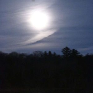 The waning gibbous moon on Monday night cast a shining moon “glade” over Birch Pond. (Photo courtesy of Laura Eisener)