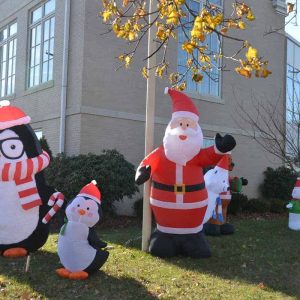 This penguin on the library lawn-2