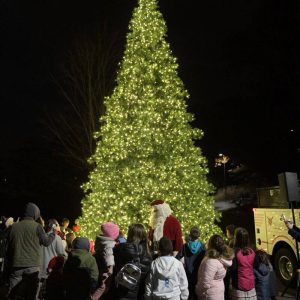 The holiday spirit begins in Malden with the annual lighting of the Fellsmere Pond Holiday Tree, as shown in last year’s photo.