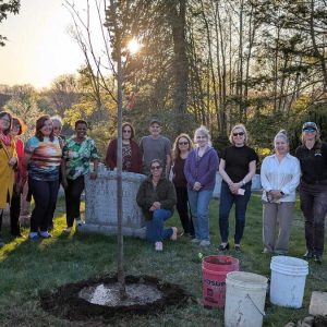 Zonta Club of Malden members with Tree Warden Chris Rosa and Arborist Erica Holm.