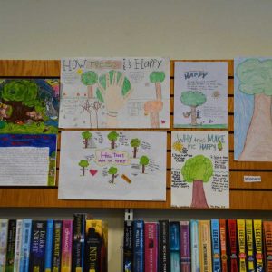 Tree Posters entered in contest on display at the Saugus Public Library (Courtesy photo to The Saugus Advocate by Laura Eisener)