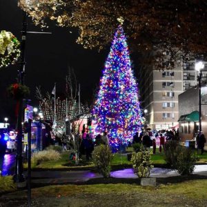 Everett’s Christmas tree sparkling in Everett Square during last year’s Christmas Tree Lighting. (Photo courtesy of the City of Everett)